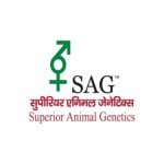 SAJ - Taj Securities Services in Vadodara provides securities here